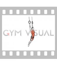 Ring Swing (male)