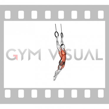 Ring Swing (male)