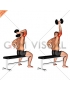 Dumbbell One Arm Triceps Extension (on bench)