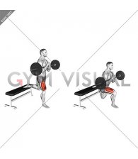 Barbell Zercher Bulgarian Split Squat (male)