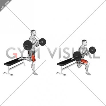 Barbell Zercher Bulgarian Split Squat (male)