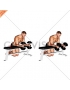 Dumbbell Over Bench Neutral Wrist Curl