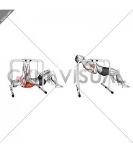 Parallel Bars Bent Knee Inverted Row (male)