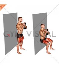 Dumbbell Goblet Wall Sit (male)