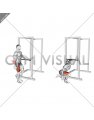 Bodyweight Single Leg Squat with Support (male)