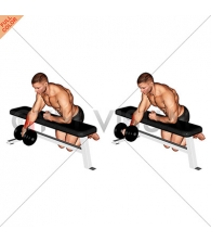 Dumbbell Over Bench One Arm Wrist Curl