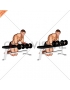 Dumbbell Over Bench Revers Wrist Curl