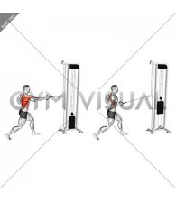 Cable Split Stance Single Arm Row (male)