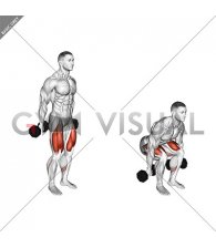 Dumbbell Hack Squat