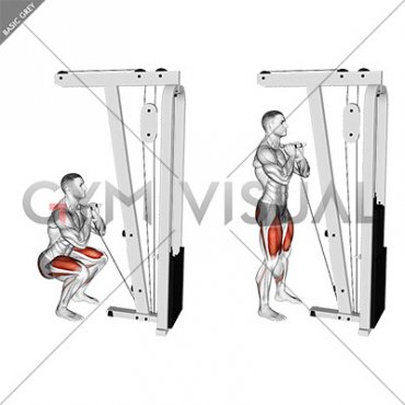 Cable Front Squat with V bar