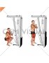 Cable Front Squat with V bar