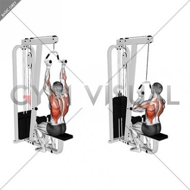 Cable Neutral Grip Lat Pulldown (male)