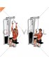 Cable Neutral Grip Lat Pulldown (male)