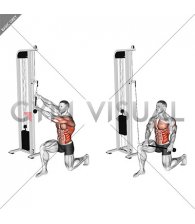Cable Kneeling High Low Anti Rotation Chop (male)
