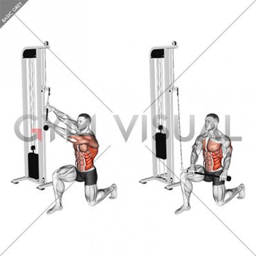Cable Kneeling High Low Anti Rotation Chop (male)