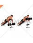 Dumbbell Prone Incline Curl