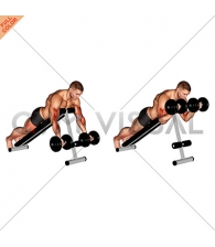 Dumbbell Prone Incline Curl