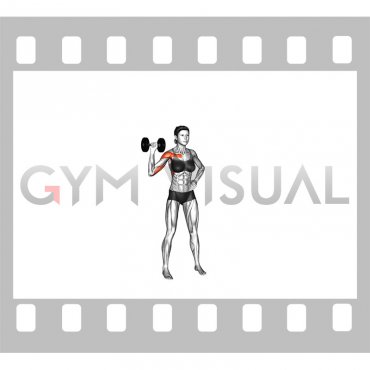 Dumbbell One Arm Shoulder Press (version 2) (female)