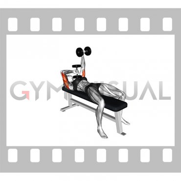 Dumbbell Lying Extension (across face) (female)