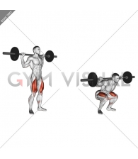 Barbell Speed Squat