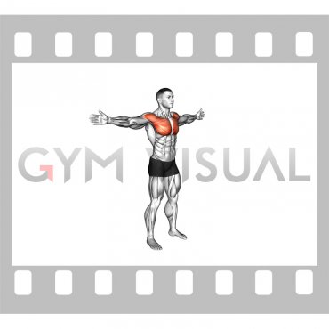 Bodyweight Standing Straight Arm Chest Fly (male)