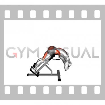 45 degree Twisting Hyperextension (male)