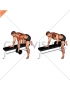 Dumbbell Rear Delt Row_shoulder