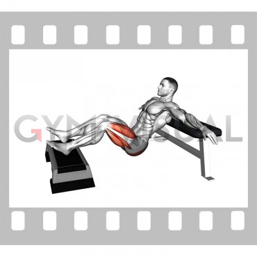 Elevated Single Leg Hip Thrust (male)