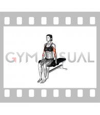 Dumbbell Seated Curl (female)