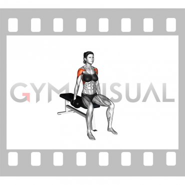 Dumbbell Seated Lateral Raise (female)