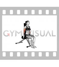 Dumbbell Seated Hammer Curl (female)