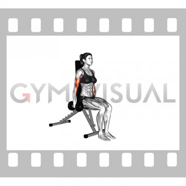 Dumbbell Seated Hammer Curl (female)