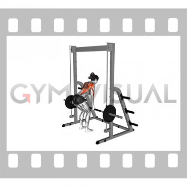 Smith Bent Over Row (VERSION 2) (female)