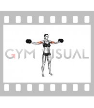 Dumbbell High Curl (female)