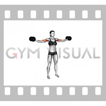 Dumbbell High Curl (female)