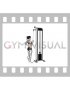 Cable One Arm Triceps Pushdown (female)