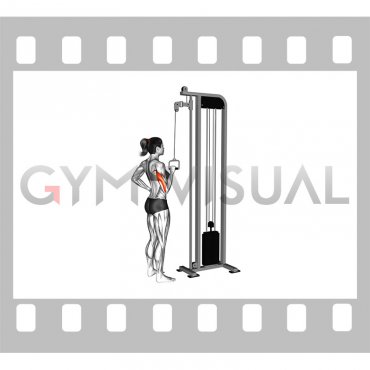 Cable One Arm Tricep Pushdown (female)