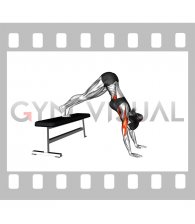 Pike Push-up (on Bench) (VERSION 2) (female)