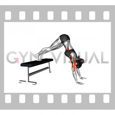 Pike Push-up (on Bench) (VERSION 2) (female)