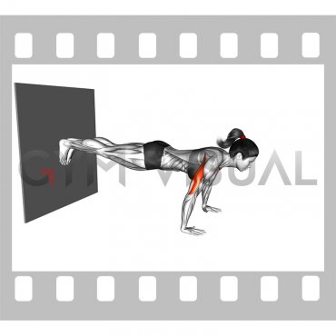 Decline Push-up against Wall (female)