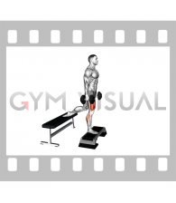 Dumbell Bulgarian Split Squat from Deficit (male)