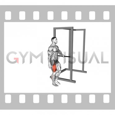 Bodyweight Single Leg Squat with Support (male)