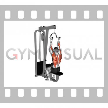 Cable Neutral Grip Lat Pulldown (male)