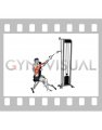 Cable Single Arm High Row with Chest Support