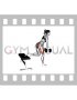 Dumbell Glute Dominant Bulgarian Split Squat (female)