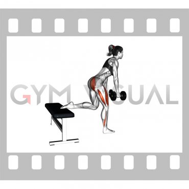 Dumbell Glute Dominant Bulgarian Split Squat (female)