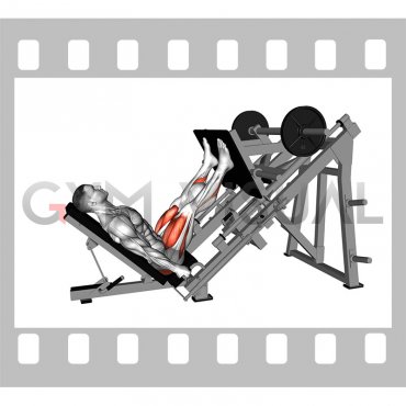 Sled Glute Dominant Leg Press (male)