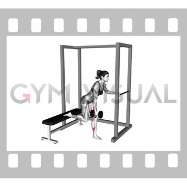 Dumbell Contralateral Glute Dominant Bulgarian Split Squat (female)