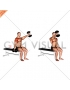 Dumbbell Seated Alternate Front Raise