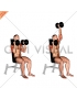 Dumbbell Seated Alternate Press